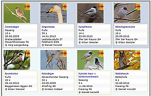 Neu auf der Webseite: Tongalerie ©